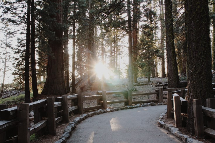 Processed with VSCO with m5 preset