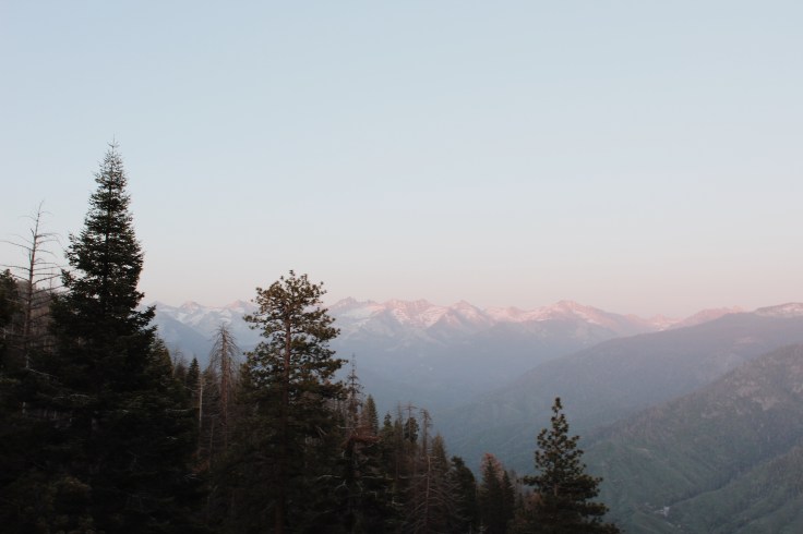 Processed with VSCO with m5 preset