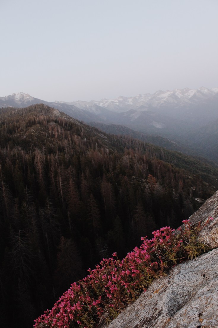 Processed with VSCO with m5 preset