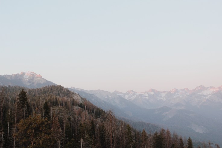 Processed with VSCO with m5 preset