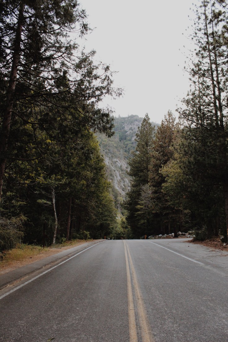 Processed with VSCO with m5 preset