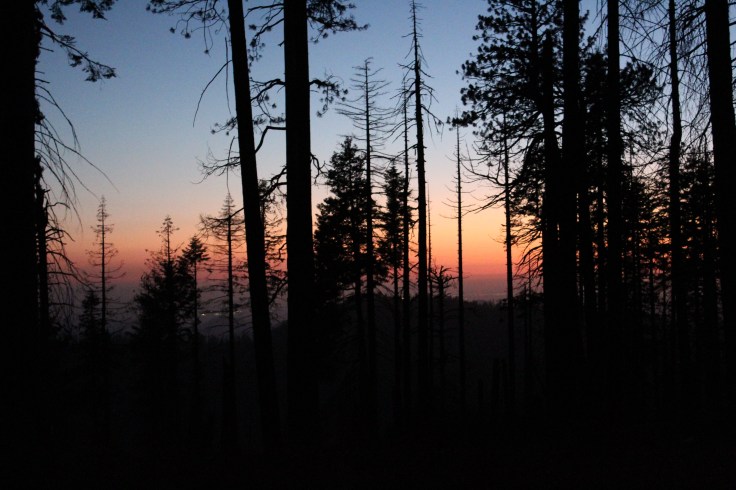 942321FC-6178-4F07-A917-105276A3E24E