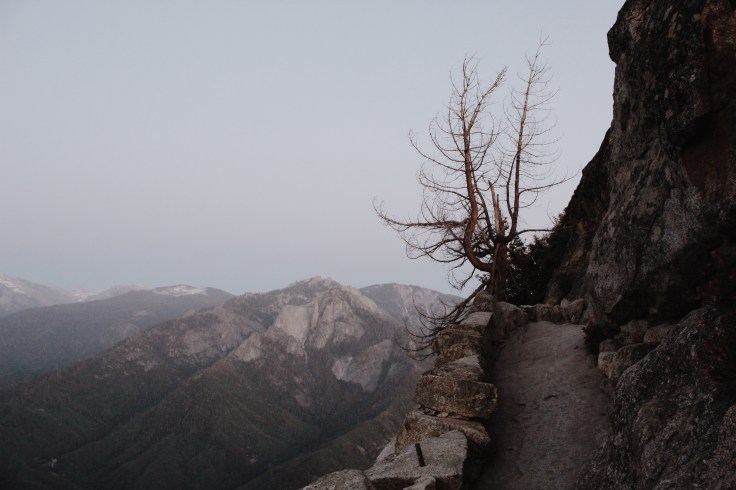 Processed with VSCO with m5 preset