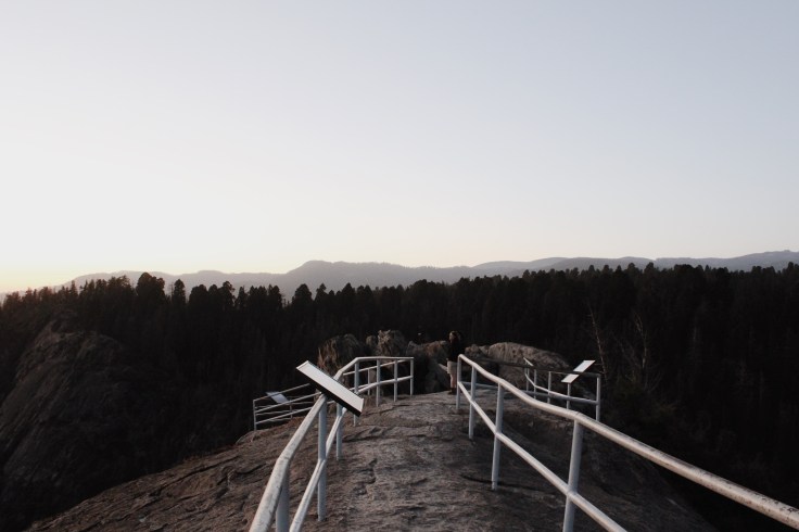 Processed with VSCO with m5 preset